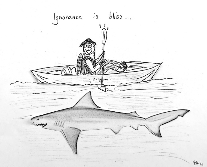 Ignorance is bliss - kayaking